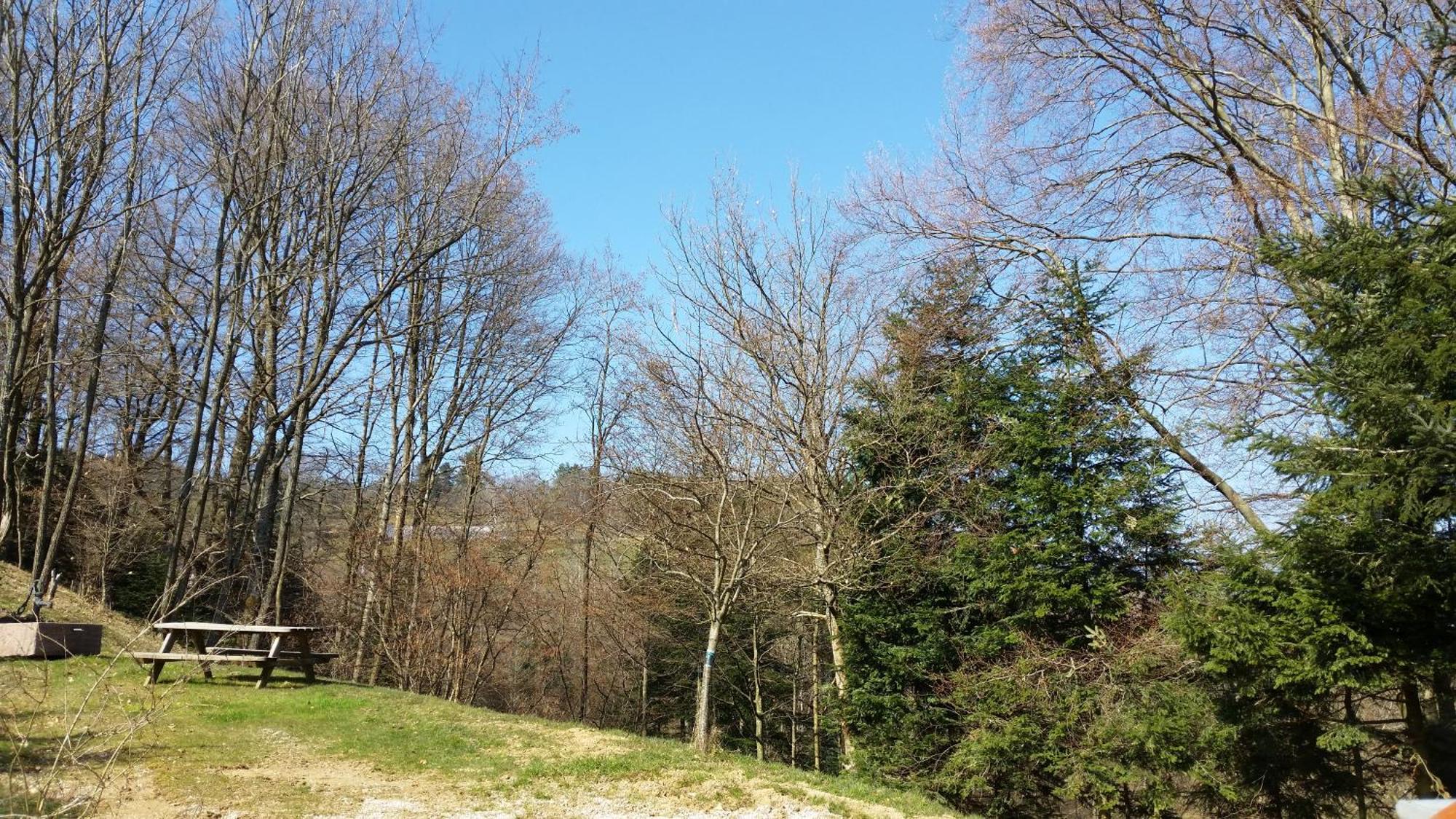 Giteovosges La Croix-aux-Mines Exteriér fotografie
