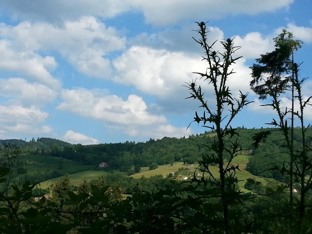 Giteovosges La Croix-aux-Mines Exteriér fotografie