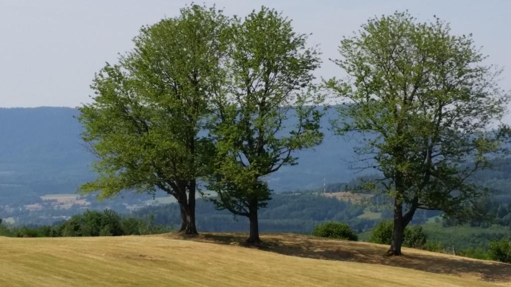 Giteovosges La Croix-aux-Mines Exteriér fotografie