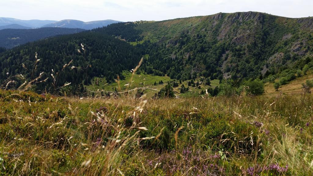 Giteovosges La Croix-aux-Mines Exteriér fotografie