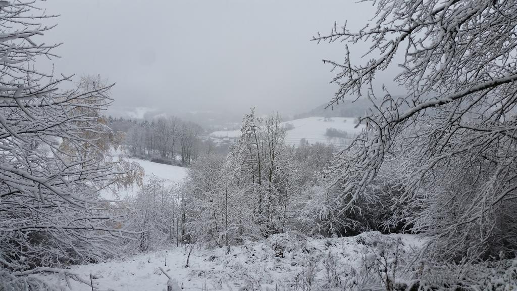Giteovosges La Croix-aux-Mines Exteriér fotografie